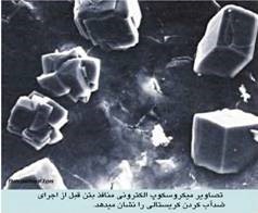 تصاویر میکوسکوب الکترونی منافظ بتن، قبل از اجرای ضد آب کردن کریستالی