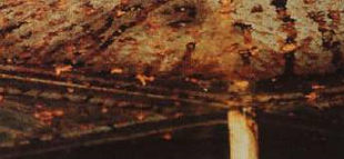 تخريب موضعي بدنه داخلي در اثر خوردگي مخزن - بتن پلاست