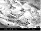 مروری بر کاربرد نانو تکنولوژی در بتن - بتن پلاست اخبار و مقالات