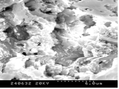 ترکیب  SEM - اخبار و مقالات شرکت بتن پلاست تولید کننده محصولات شیمیایی بتن