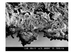 بررسي خواص رئولوژيكي  - بتن پلاست