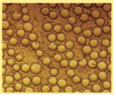 میلگرد با الیاف شیشه