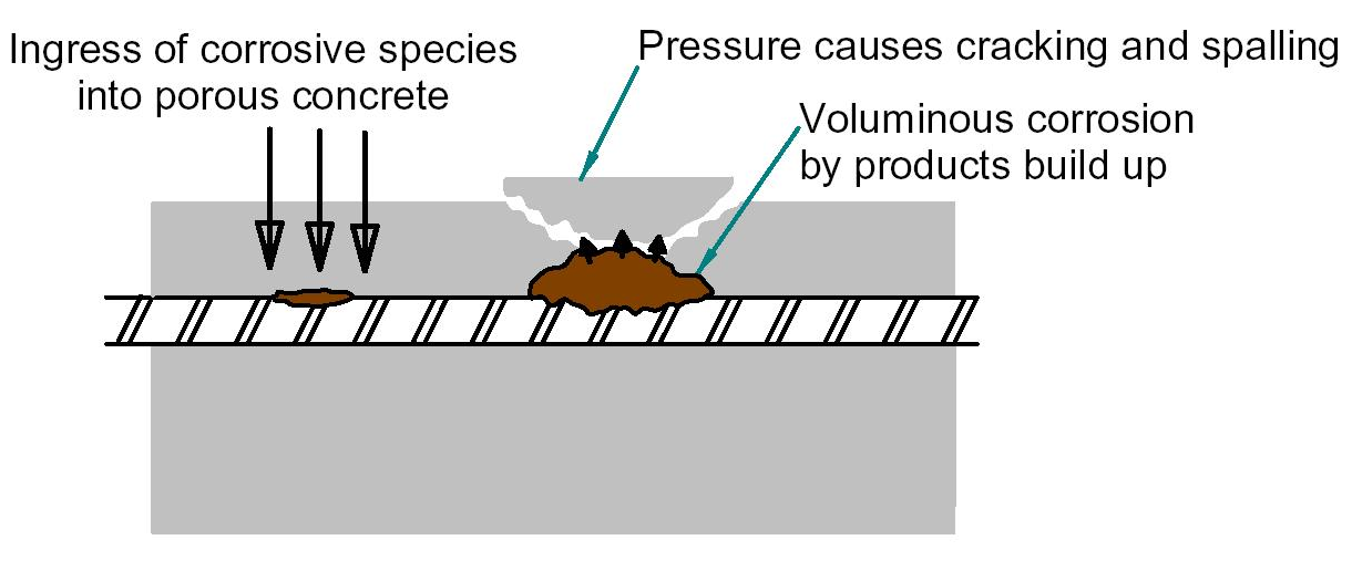 روند گسترش خوردگی میلگرد در بتن 01